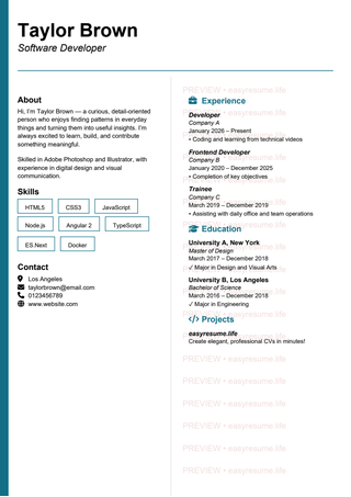 Accent Stripe resume template preview