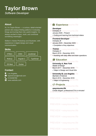 Olive Technical resume template preview